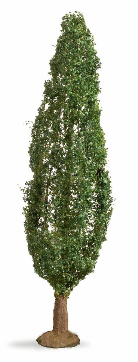 Noch 20130 - Pappel, 18 cm hoch