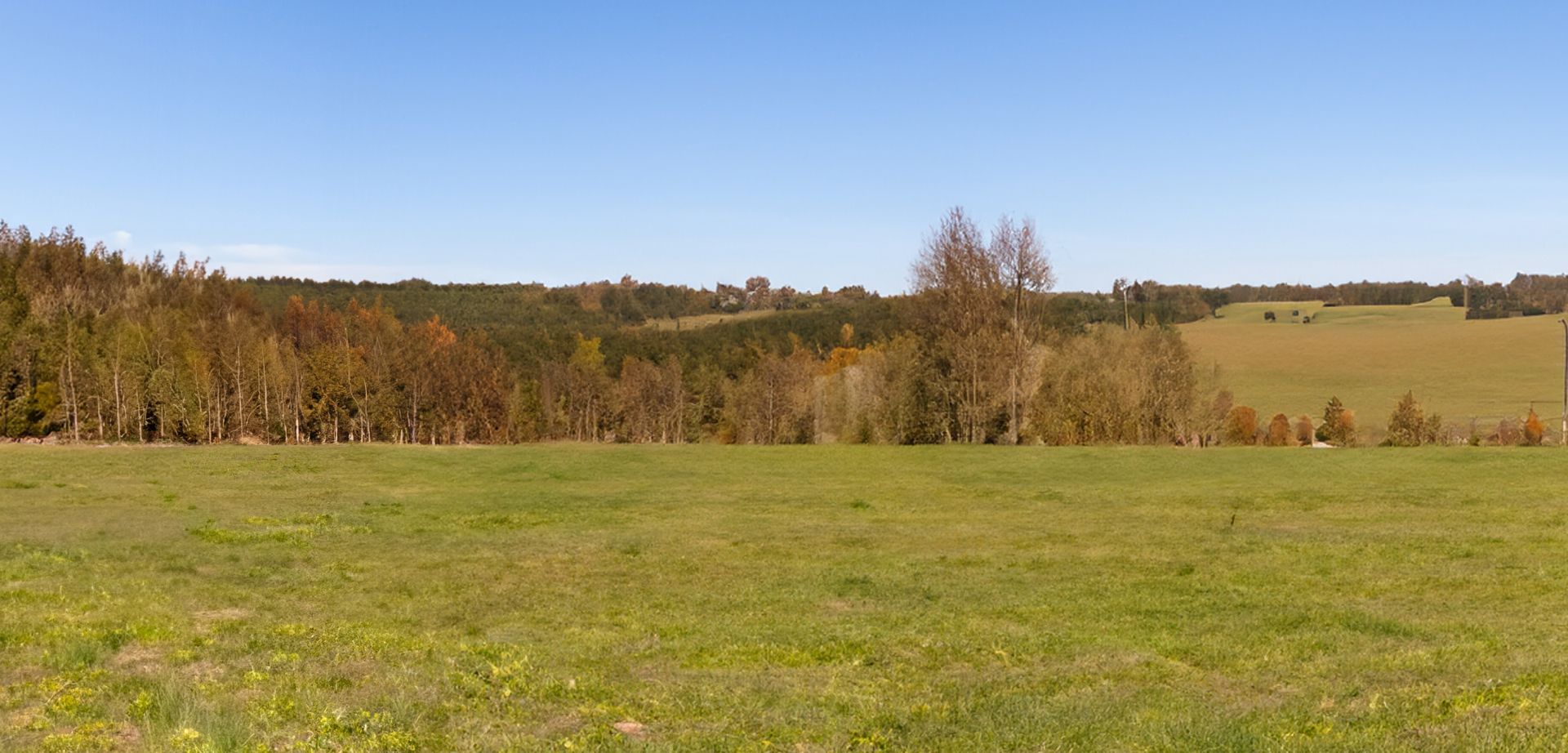 elriwa M2-H48-C - Hintergrund-Platte aus PVC-Hartschaum 'Deutsches Mittelgebirge', Höhe 48 cm, Bild C