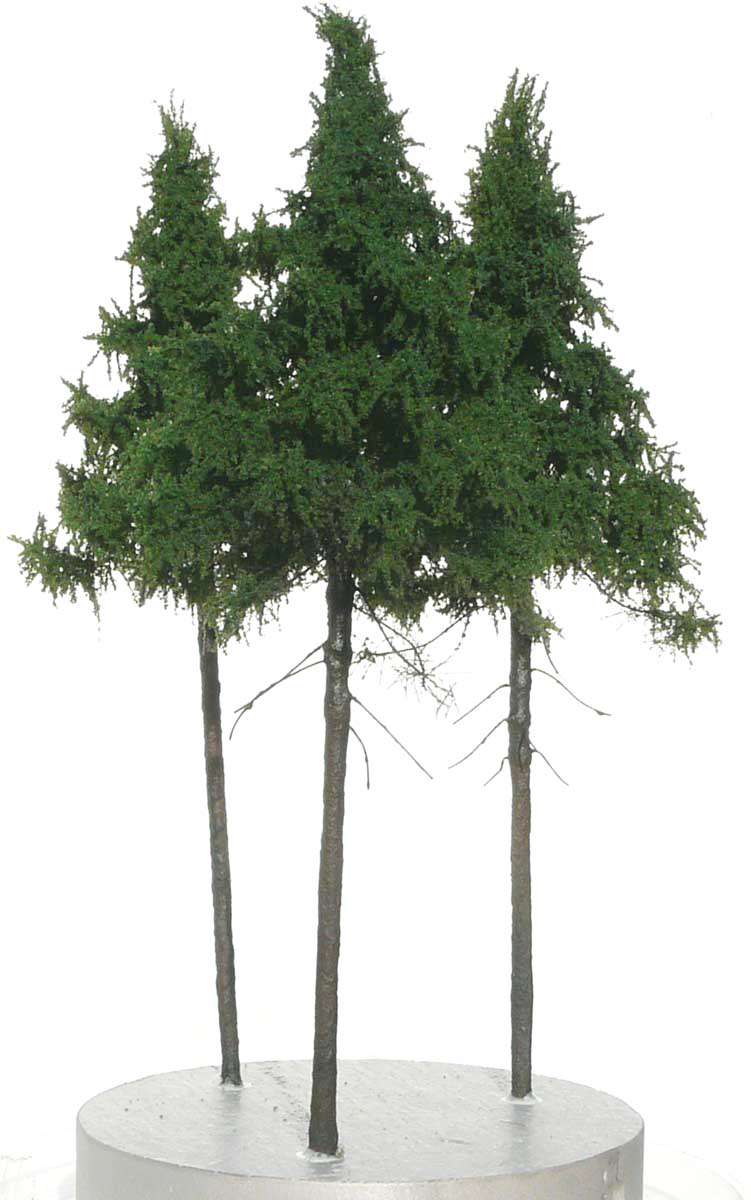 elriwa 160035-3 - SWP 1-3 - 3 Hohe Fichte, Höhe ca. 19cm