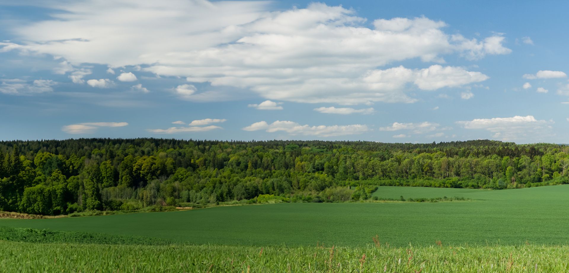 elriwa M1-H48-B - Hintergrund-Platte aus PVC-Hartschaum 'Sächsische Schweiz', Höhe 48 cm, Bild B