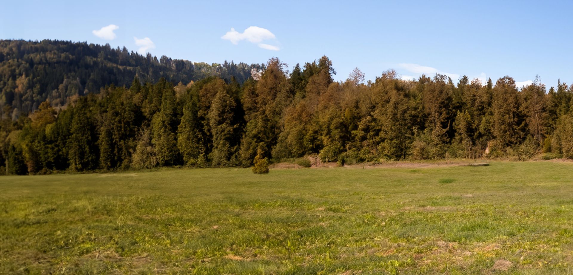 elriwa M2-H48-B - Hintergrund-Platte aus PVC-Hartschaum 'Deutsches Mittelgebirge', Höhe 48 cm, Bild B