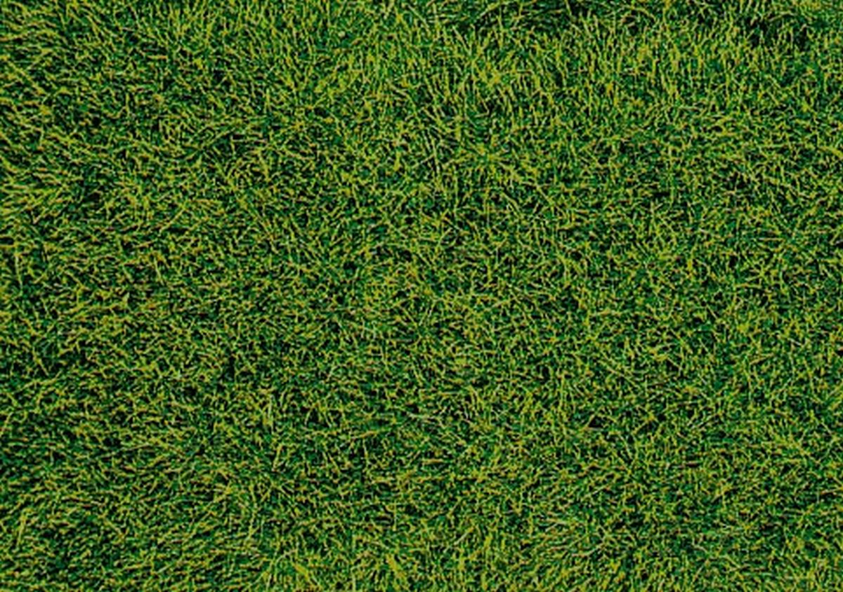 Heki 1573 - Wildgras, Moorboden, 28x14cm