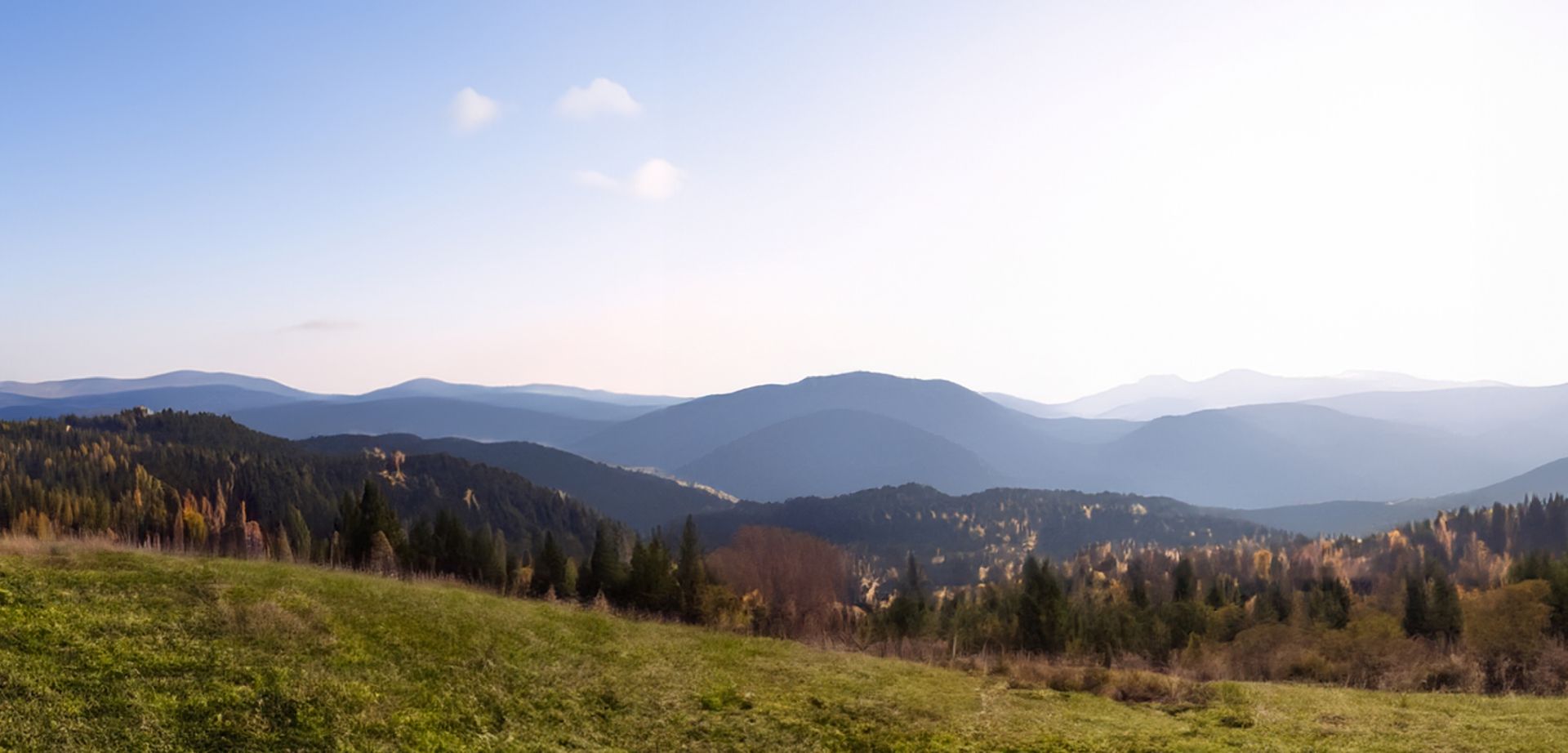 elriwa M2-H48-G - Hintergrund-Platte aus PVC-Hartschaum 'Deutsches Mittelgebirge', Höhe 48 cm, Bild G