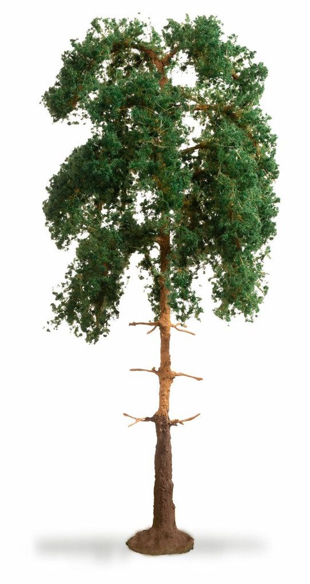 Noch 20141 - Kiefer, 18 cm hoch