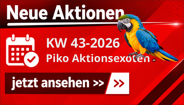 akt_191026_blog_t2a