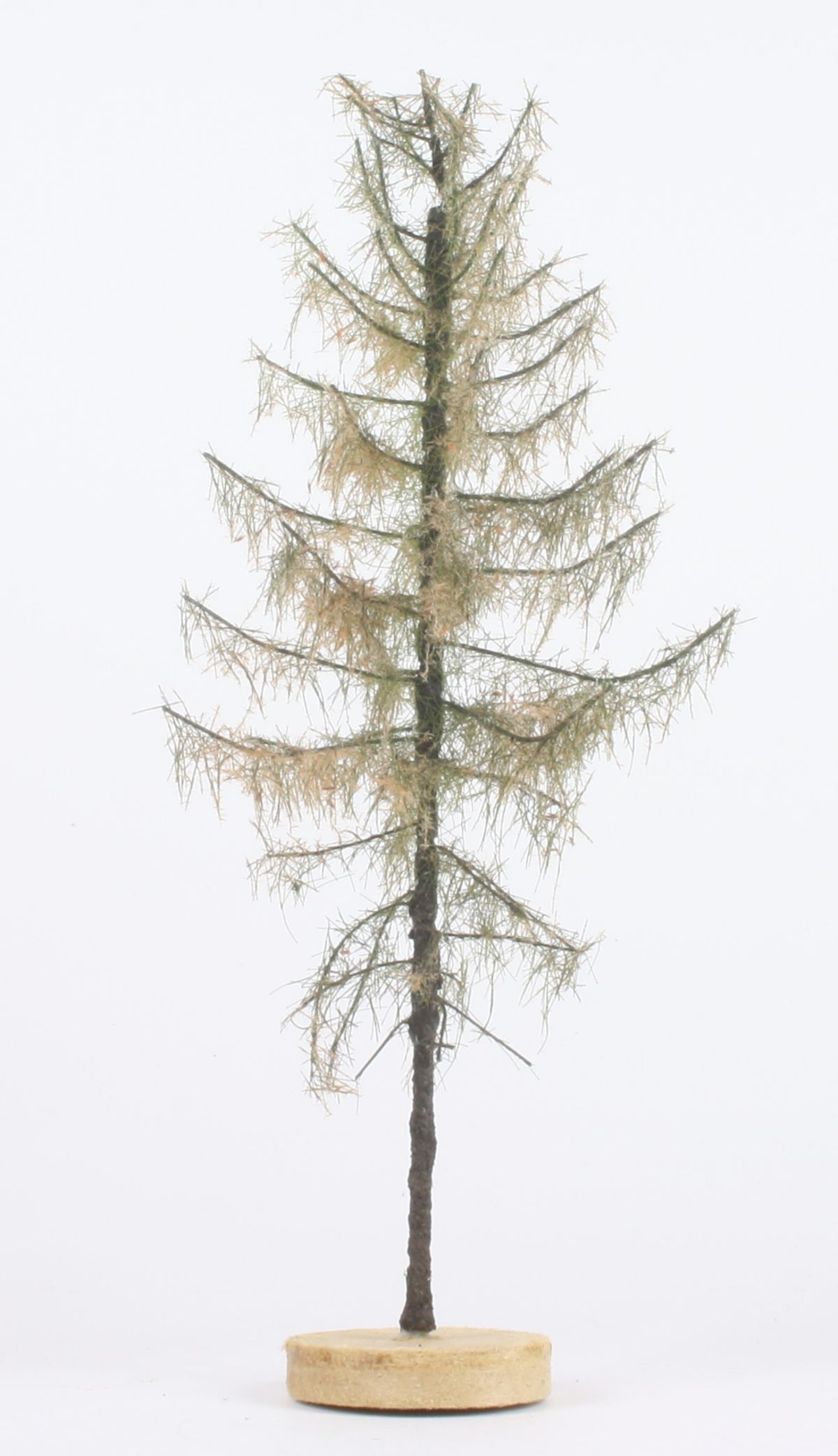 elriwa 170034 - MSU 2 - Trockene Lärche, Höhe ca. 15cm