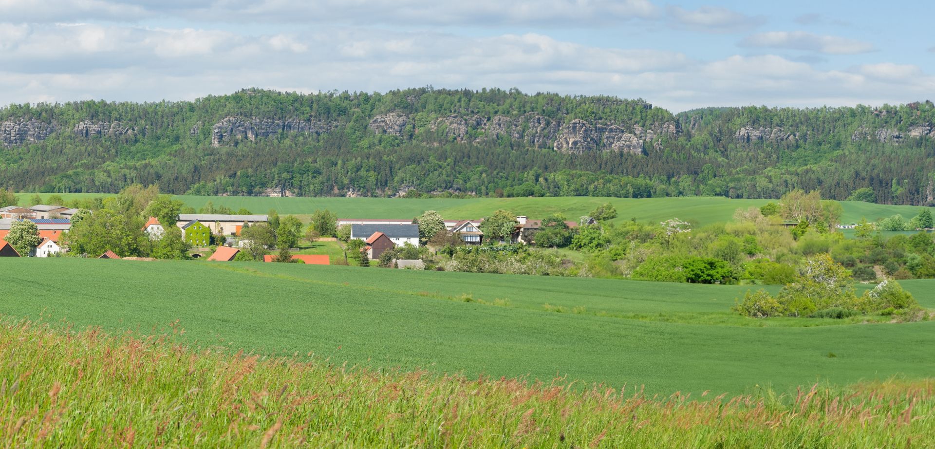 elriwa M1-H48-F - Hintergrund-Platte aus PVC-Hartschaum 'Sächsische Schweiz', Höhe 48 cm, Bild F