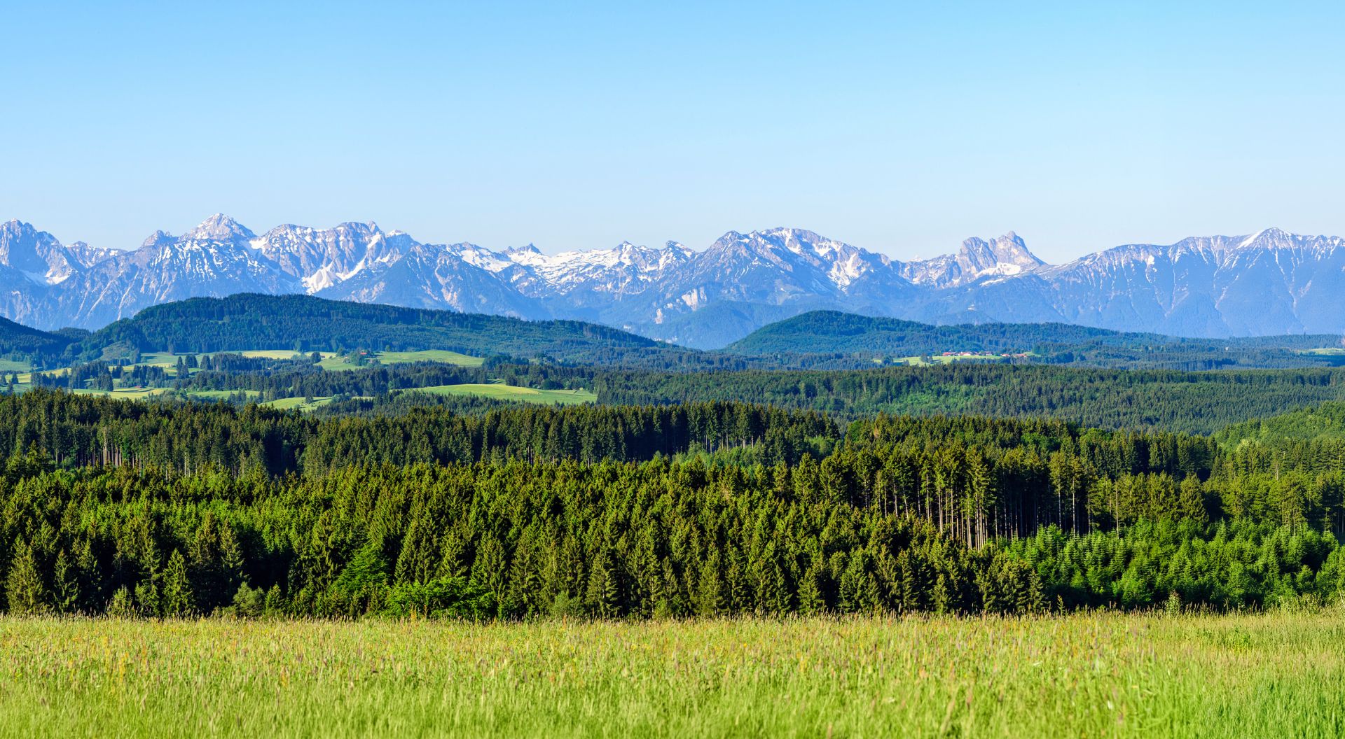 elriwa M5-H55-E - Hintergrundplatte aus PVC-Hartschaum 'Alpenvorland', Höhe 55 cm, Bild E