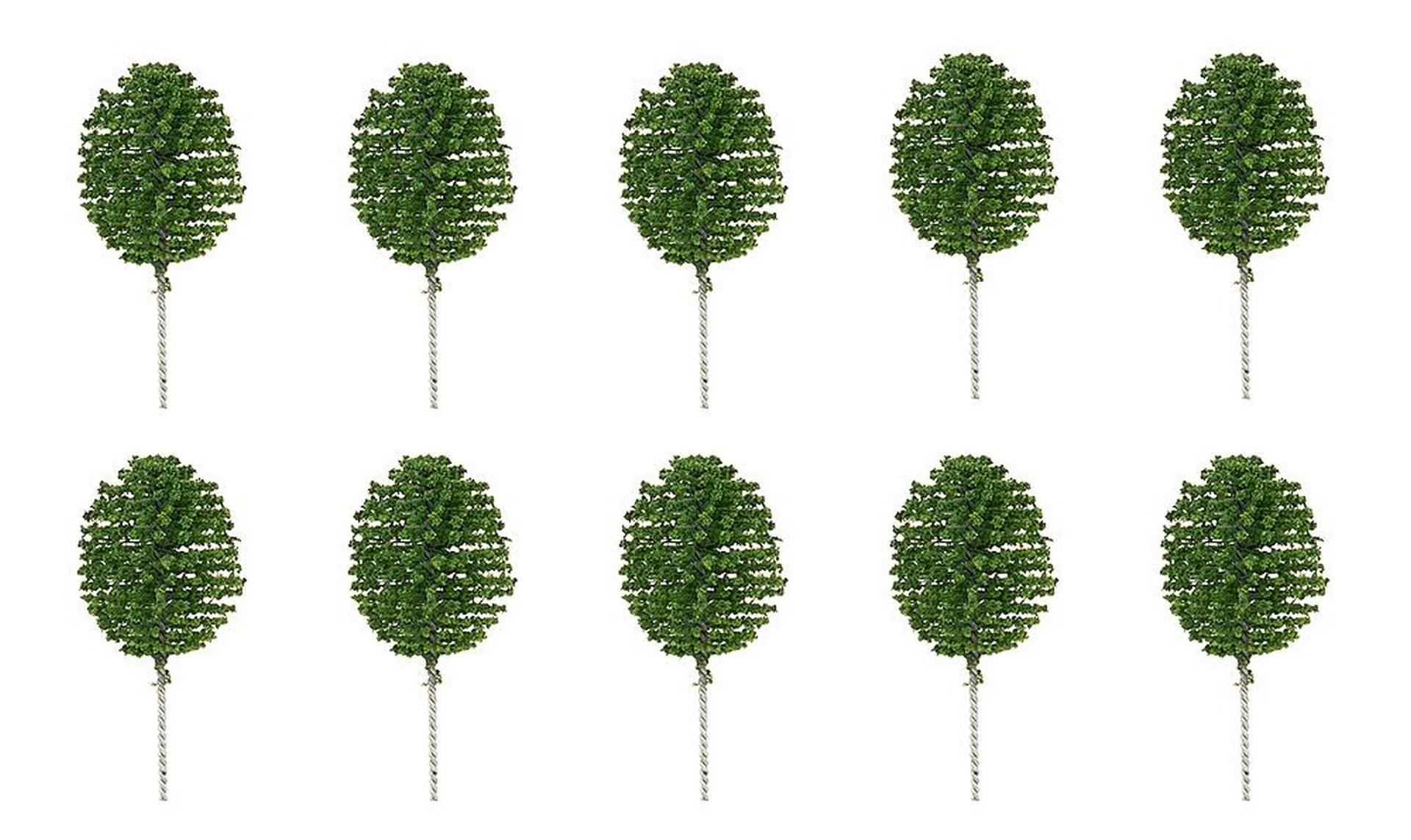 Faller 181594 - 10 Vorgartenbäume, Thuja, rund, 40 mm