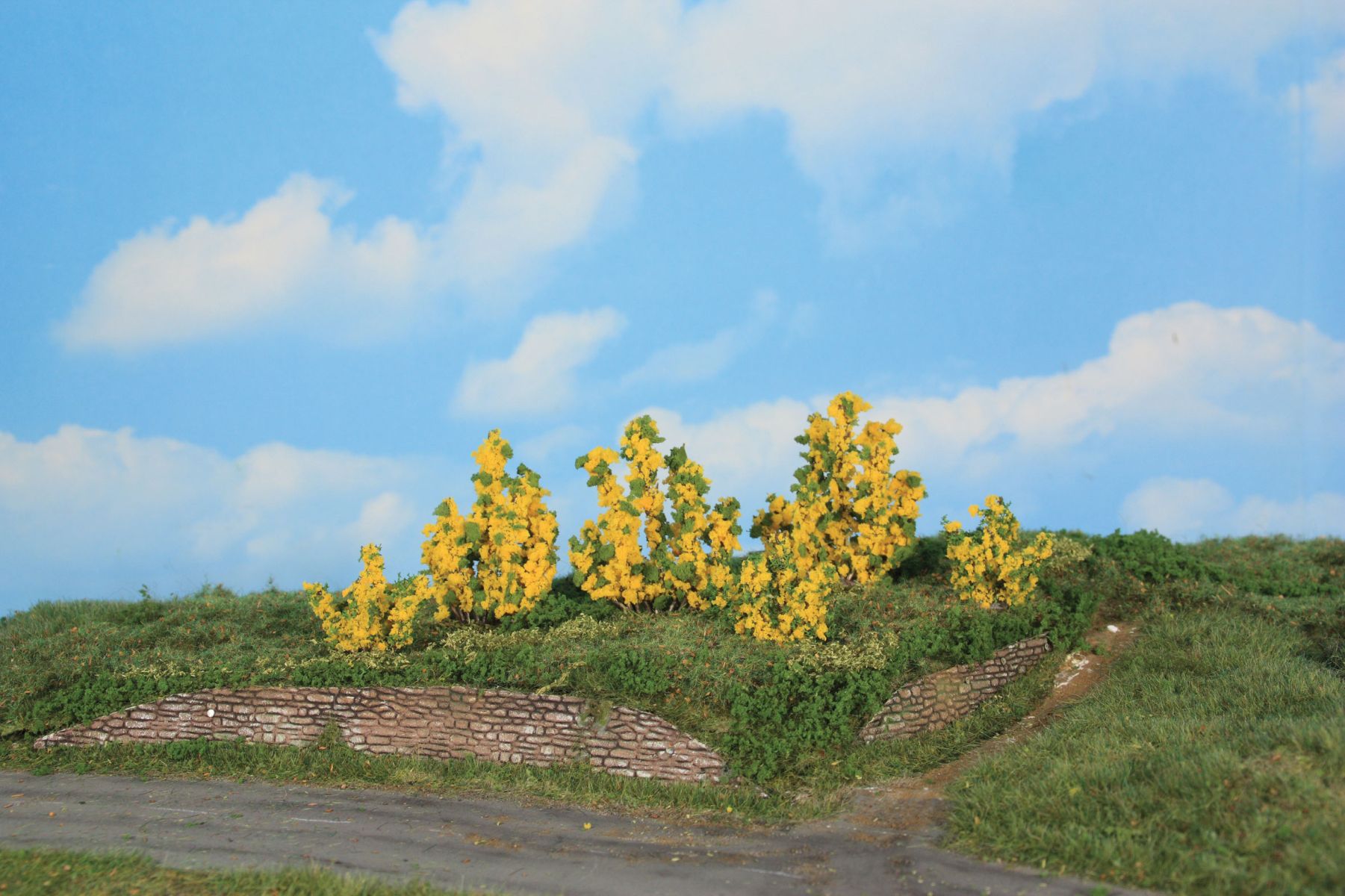 Heki 11800 - 6 Forsythiensträucher 3-6 cm