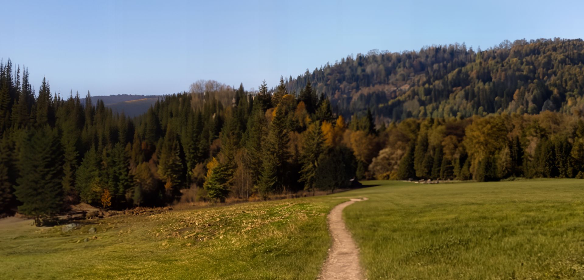 elriwa M2-H48-A - Hintergrund-Platte aus PVC-Hartschaum 'Deutsches Mittelgebirge', Höhe 48 cm, Bild A