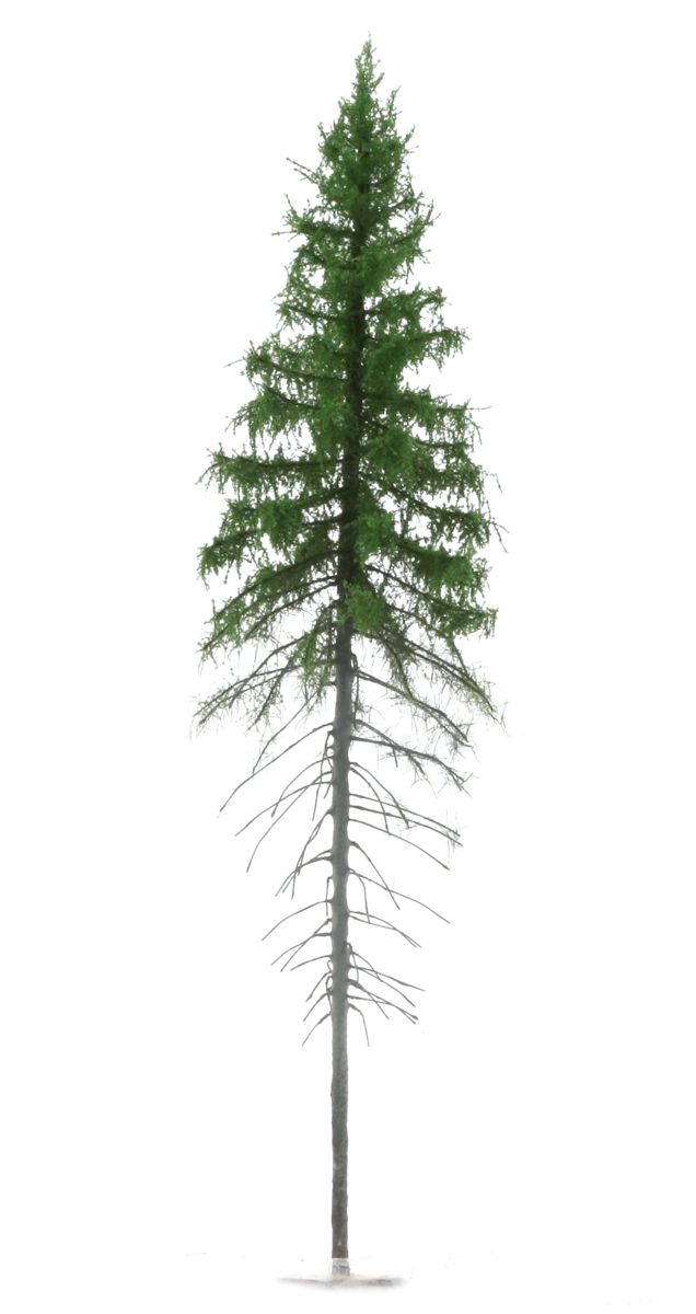 elriwa 150039 - SGPW1 - Bergfichte, Höhe ca. 30 cm