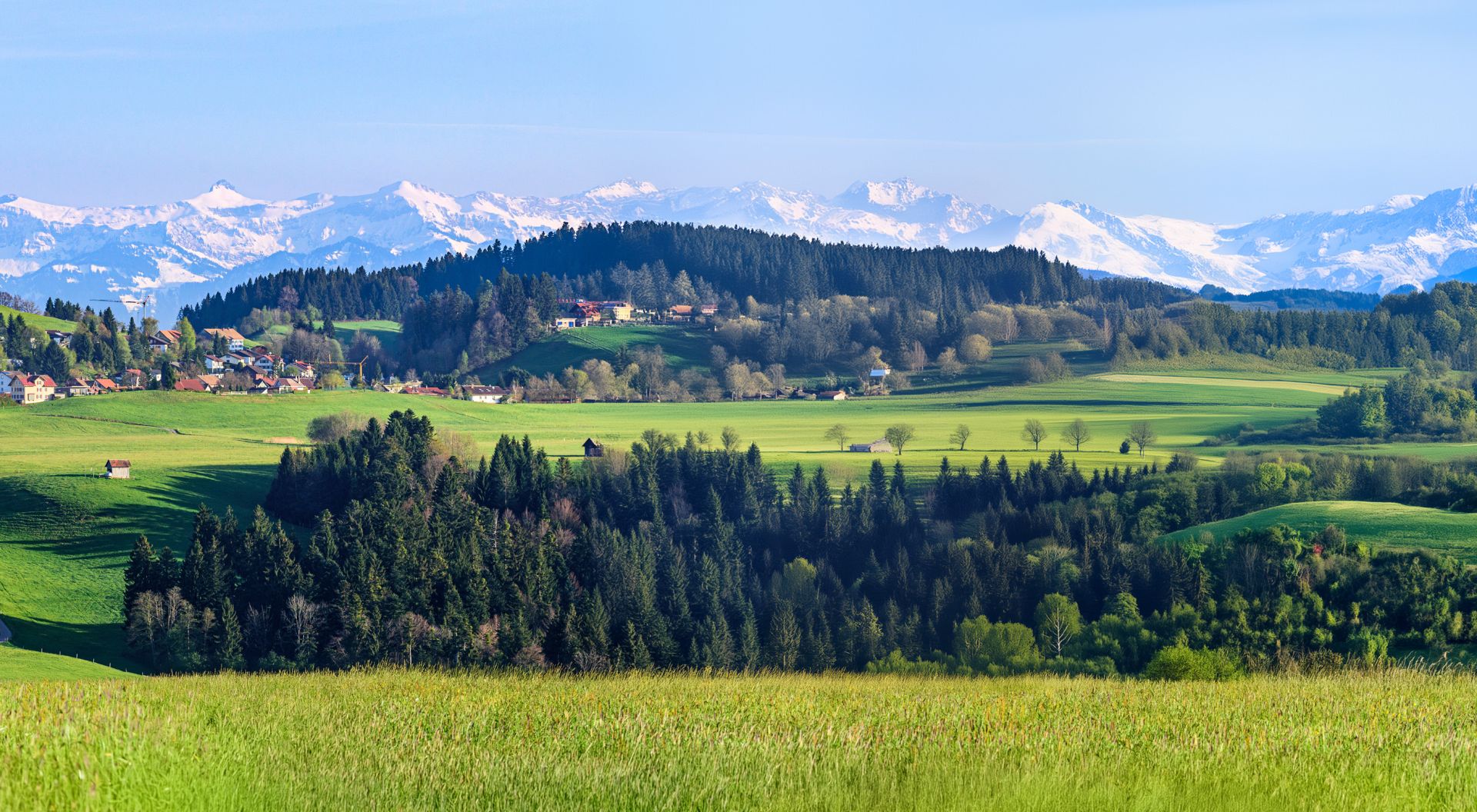 elriwa M5-H55-B - Hintergrundplatte aus PVC-Hartschaum 'Alpenvorland', Höhe 55 cm, Bild B