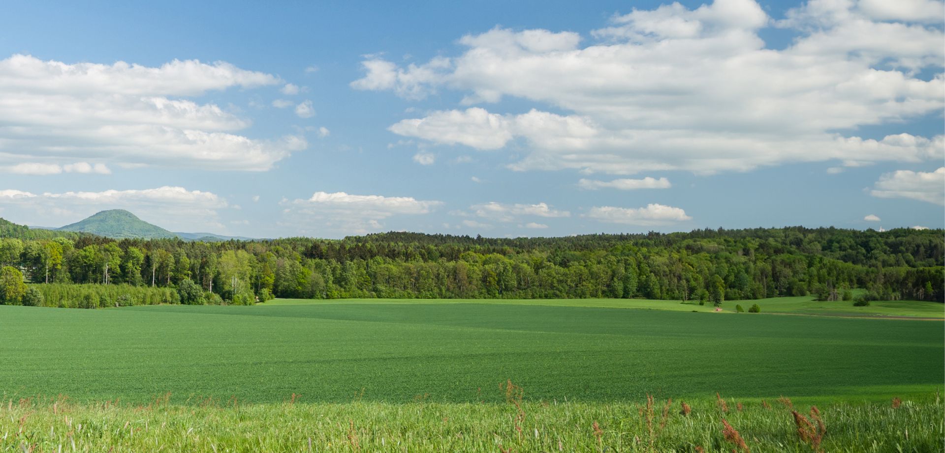 elriwa M1-H48-H - Hintergrund-Platte aus PVC-Hartschaum 'Sächsische Schweiz', Höhe 48 cm, Bild H
