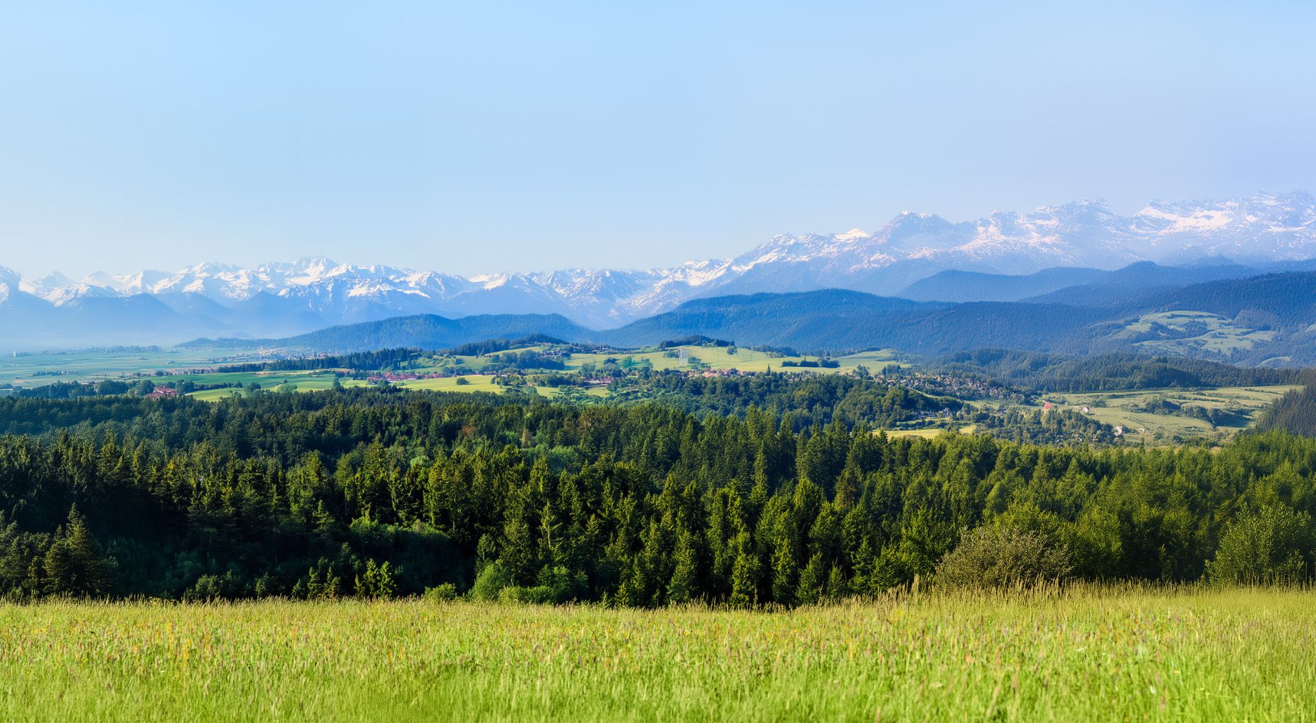 elriwa M5-H55-G - Hintergrundplatte aus PVC-Hartschaum 'Alpenvorland', Höhe 55 cm, Bild G