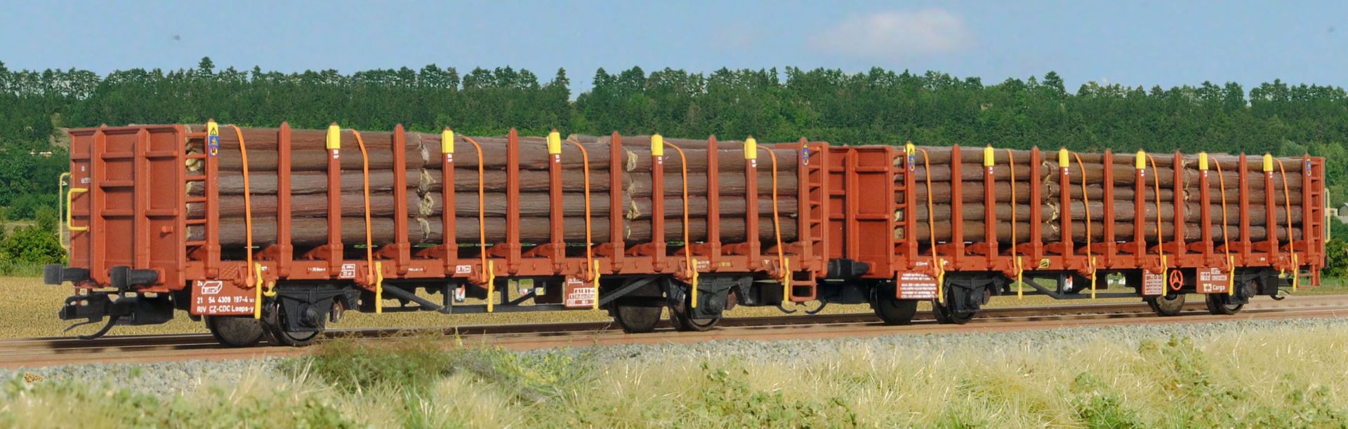 sdv-model 12136 - Rungenwageneinheit Laaps-y 12, CD-Cargo, Ep.VI, Bausatz