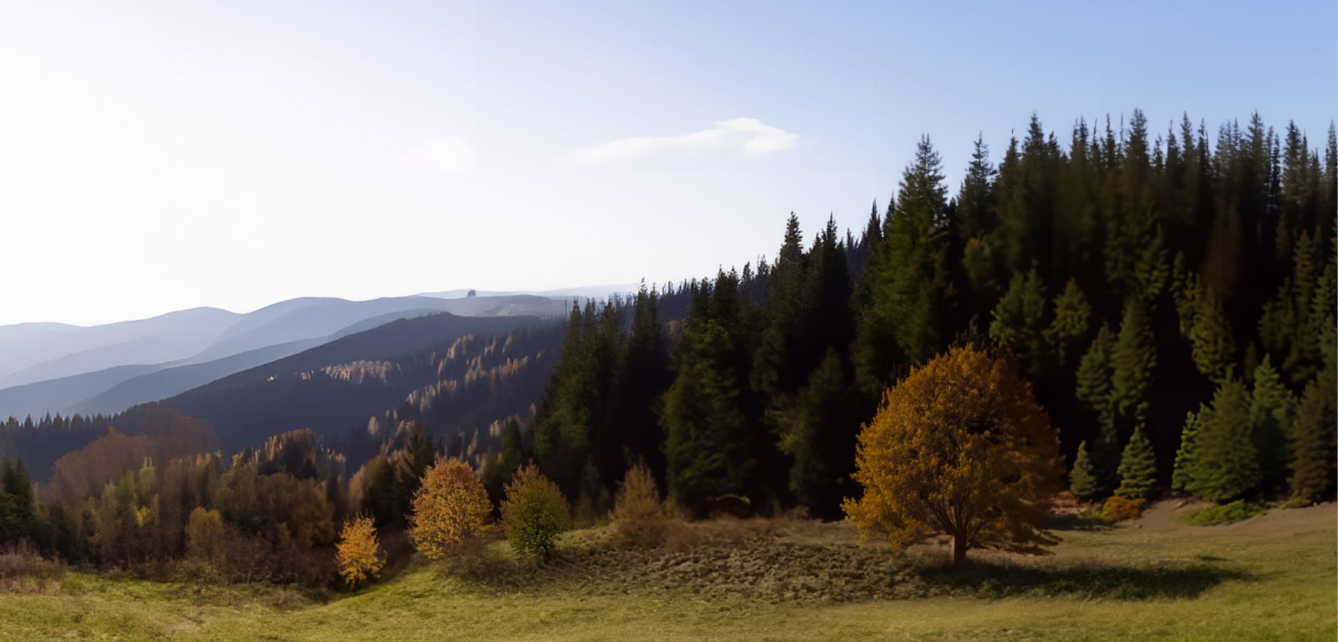 elriwa M2-H48-H - Hintergrund-Platte aus PVC-Hartschaum 'Deutsches Mittelgebirge', Höhe 48 cm, Bild H