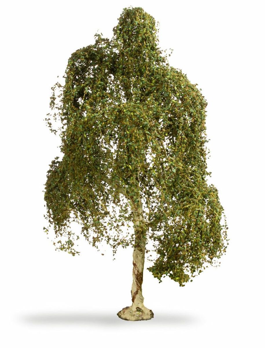 Noch 20120 - Hängebirke, 18 cm hoch