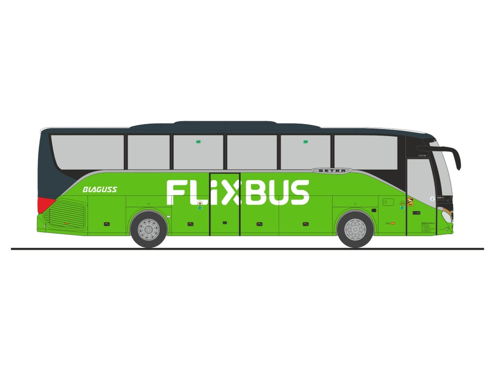 Rietze 77945 - Setra S 515 HD Flixbus Blaguss (SK)