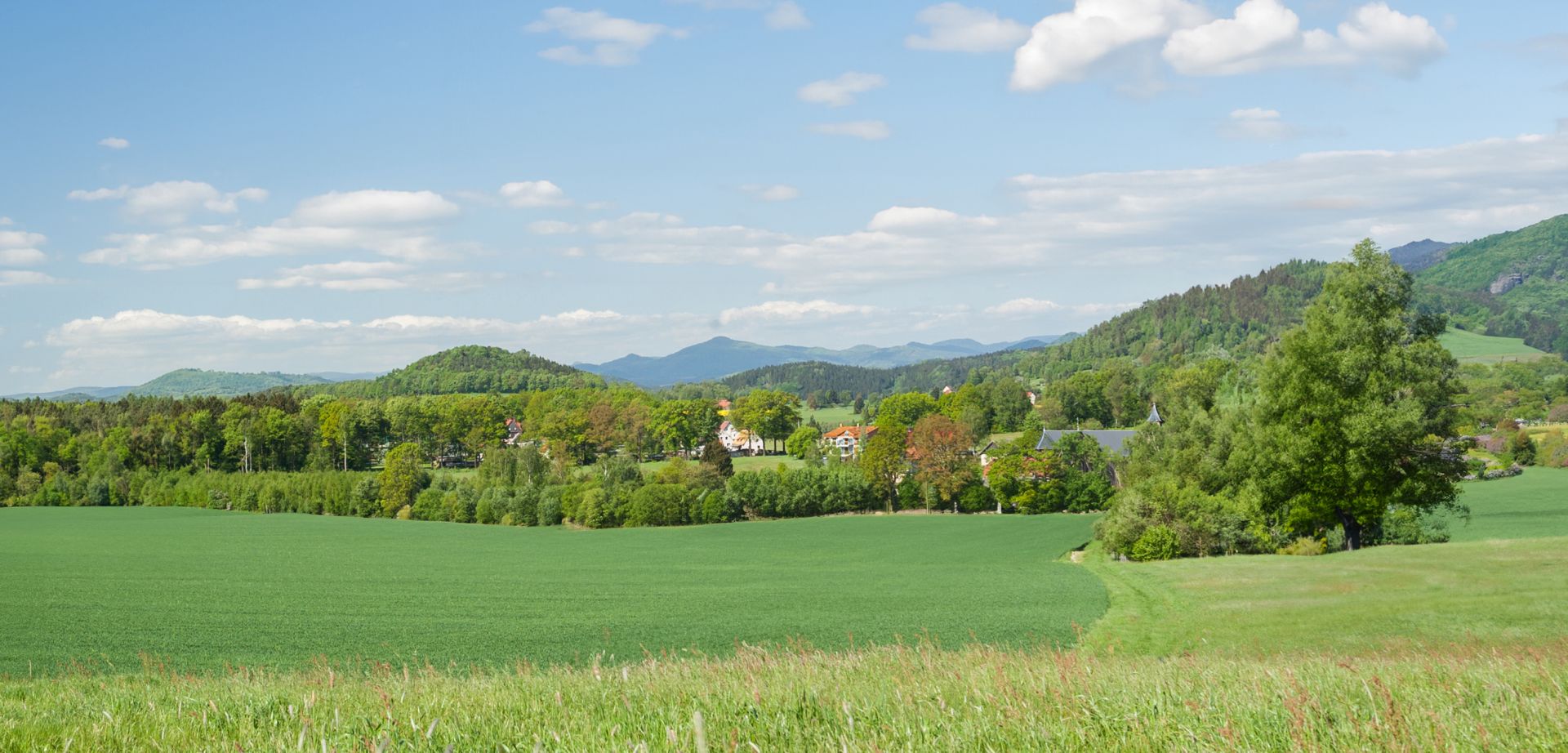 elriwa M1-H48-C - Hintergrund-Platte aus PVC-Hartschaum 'Sächsische Schweiz', Höhe 48 cm, Bild C