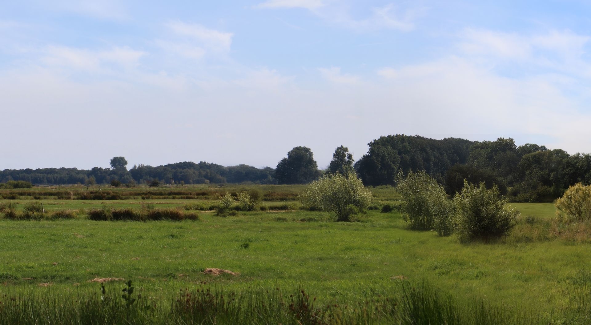 elriwa M6-H55-A - Hintergrundplatte aus PVC-Hartschaum 'Norddeutschland, Epoche I-III', Höhe 55 cm, Bild A