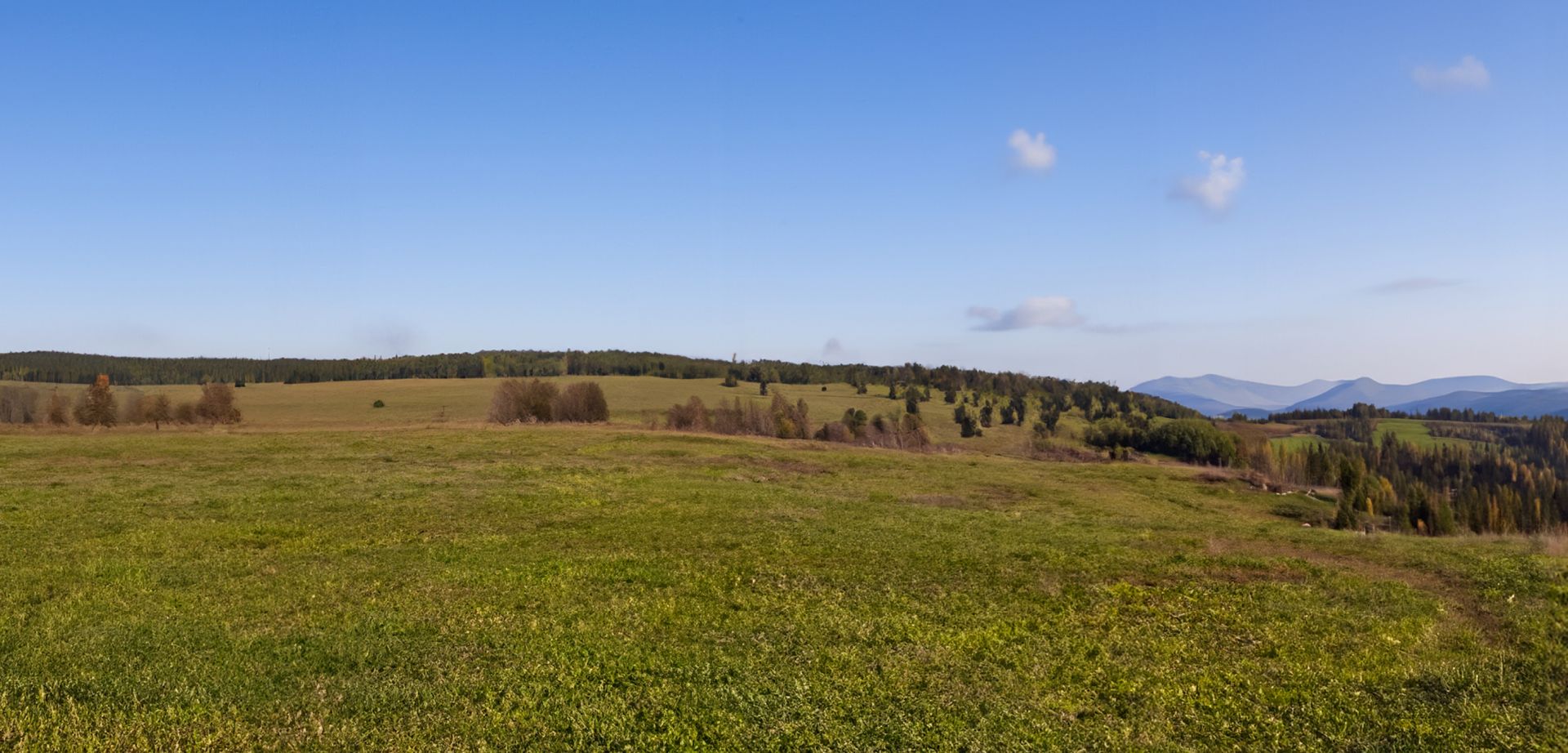 elriwa M2-H48-F - Hintergrund-Platte aus PVC-Hartschaum 'Deutsches Mittelgebirge', Höhe 48 cm, Bild F