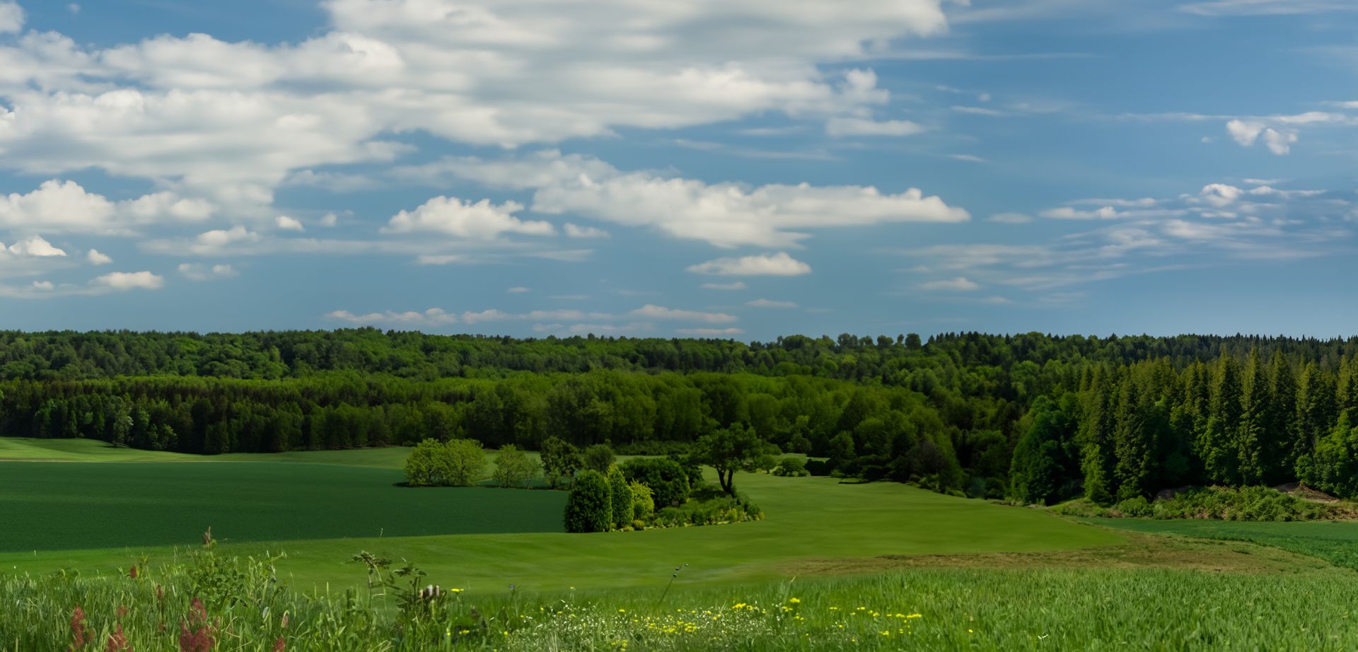 elriwa M1-H48-A - Hintergrund-Platte aus PVC-Hartschaum 'Sächsische Schweiz', Höhe 48 cm, Bild A