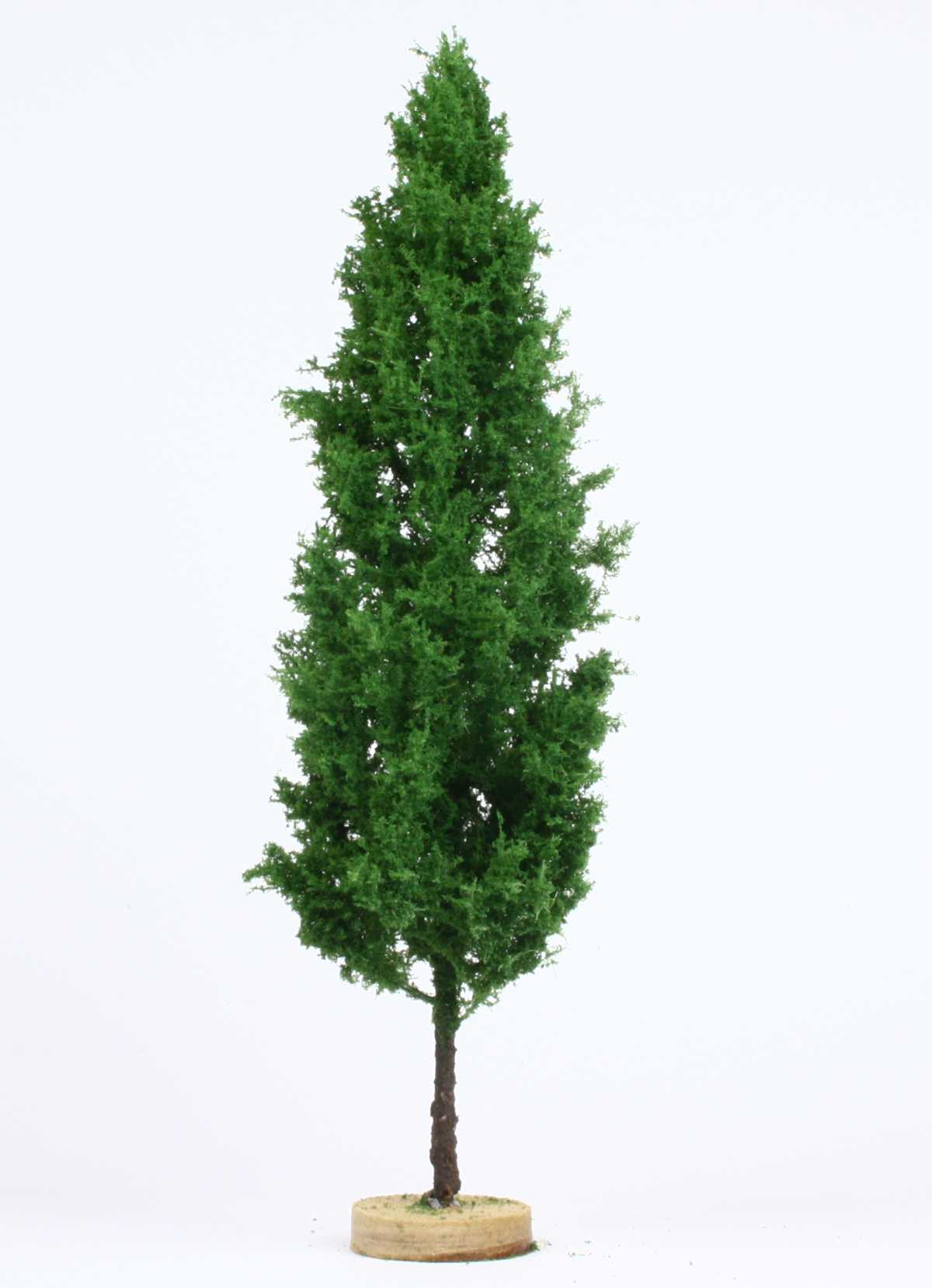 elriwa 204024 - TOP 2 - Pappel, Höhe ca. 15cm