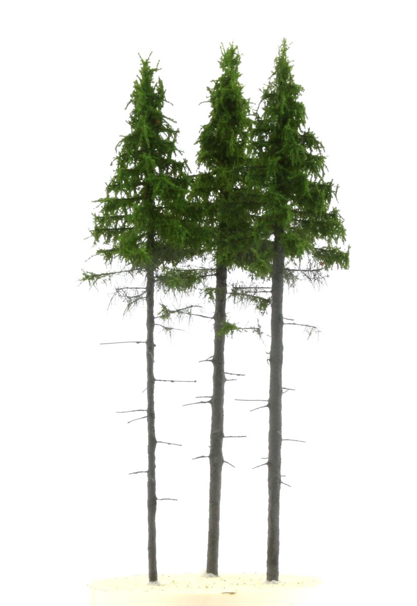 elriwa 160050 - SG 1 - 3 Bergfichten, Höhe ca. 24 cm