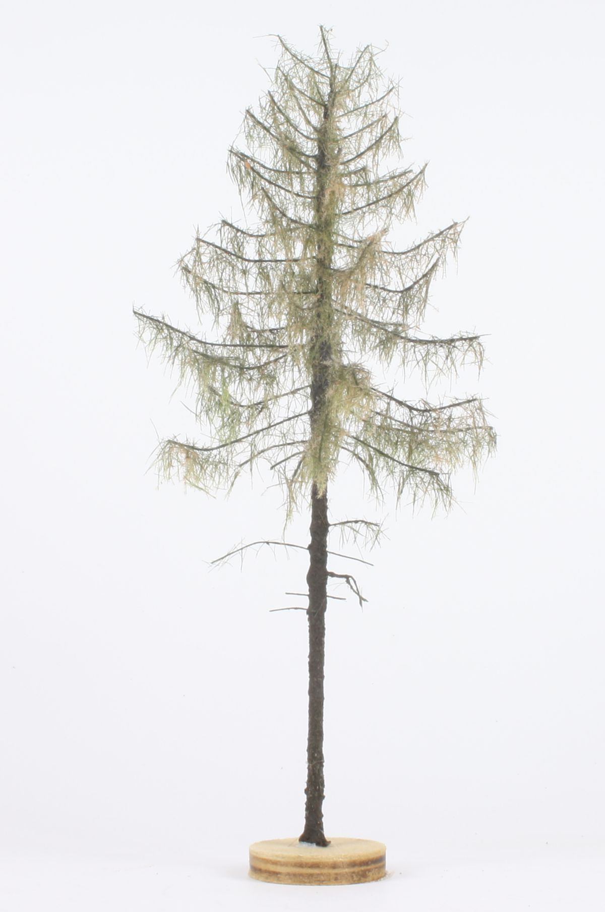 elriwa 170035 - MSU 1 - Trockene Lärche, Höhe ca. 19cm