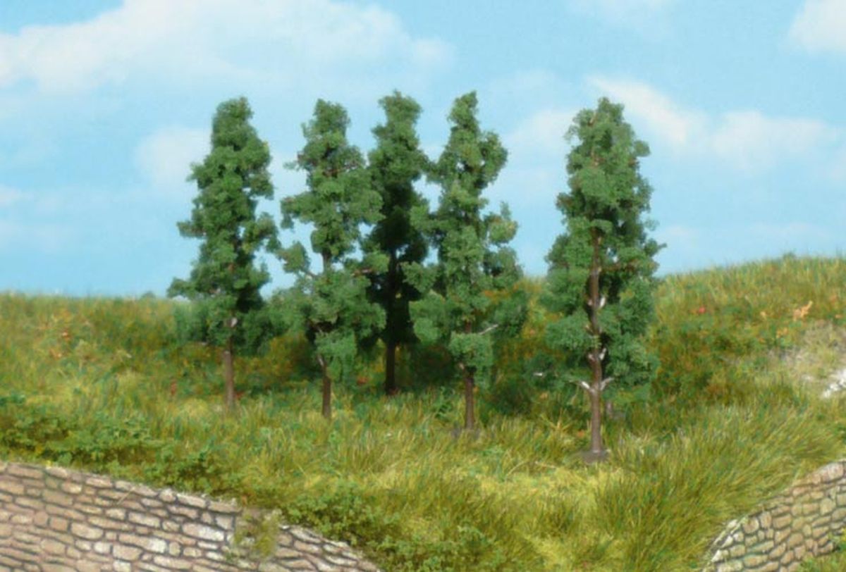 Heki 1123 - 6 Schwarzpappeln 5,5 cm