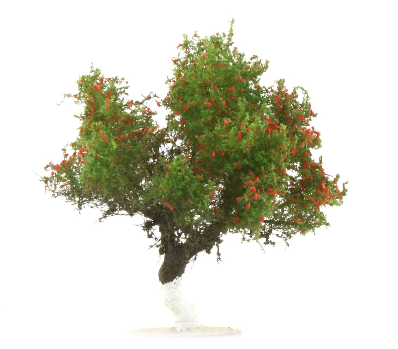 elriwa 201031 - JAB 3 - Apfelbaum, Höhe ca. 3-4 cm