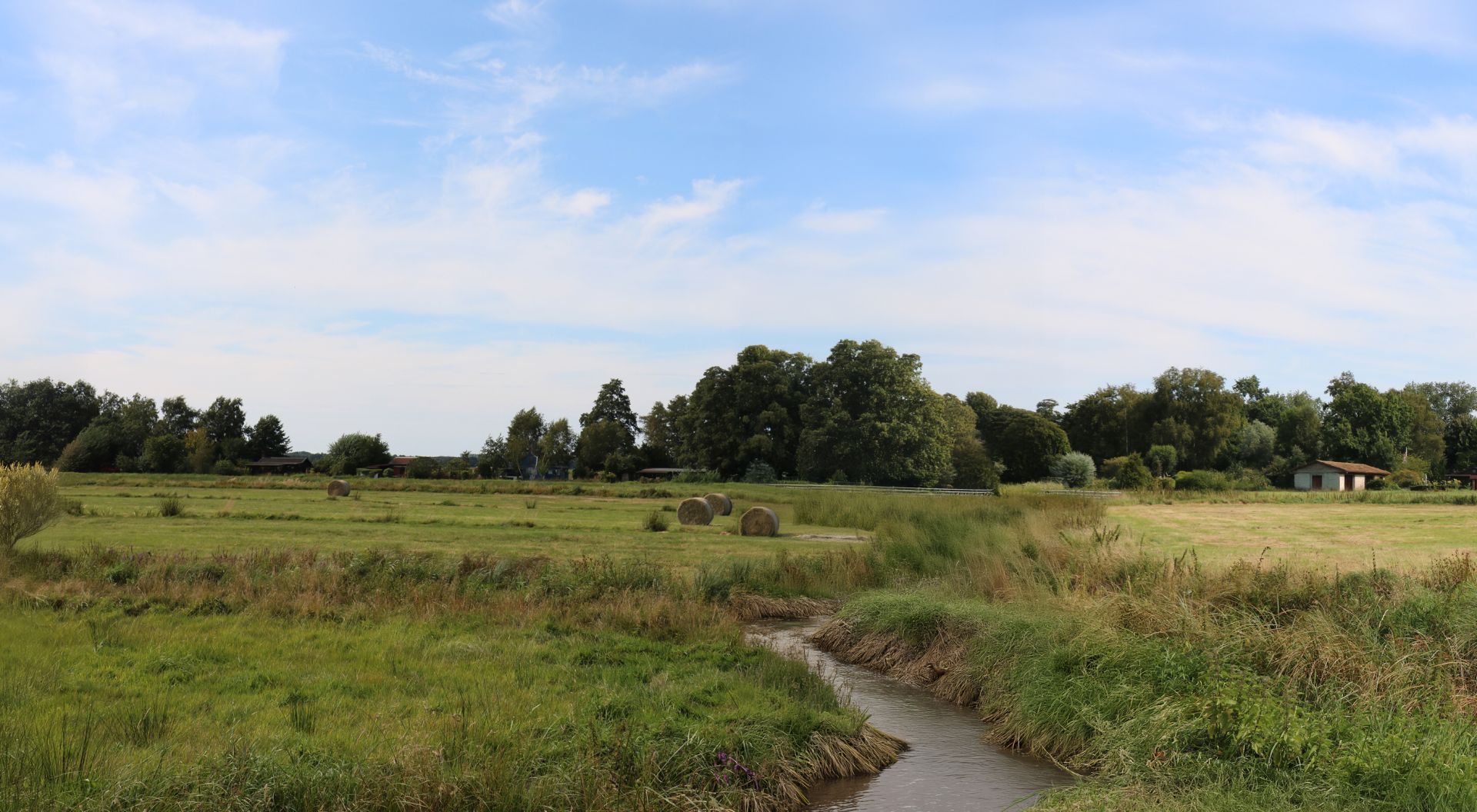 elriwa M6-H55-B - Hintergrundplatte aus PVC-Hartschaum 'Norddeutschland, Epoche I-III', Höhe 55 cm, Bild B