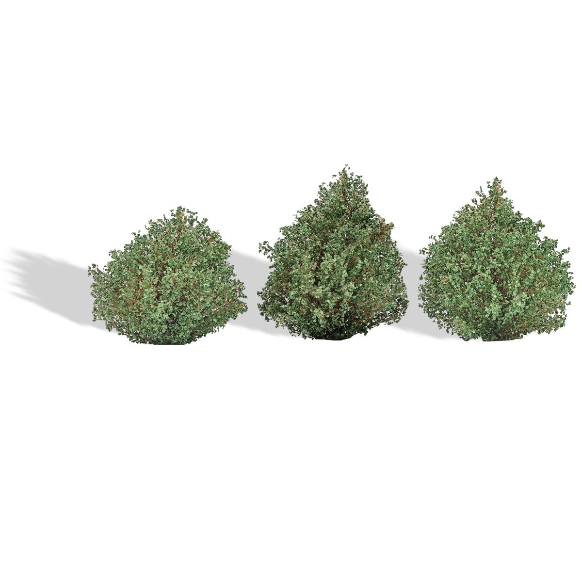 Busch 3607 - 3 Sommerbüsche