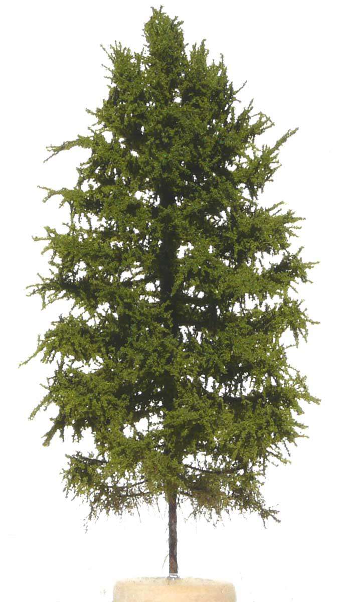 elriwa 110034 - MPN 2 - Niedrige europäische Lärche, Höhe ca. 15cm