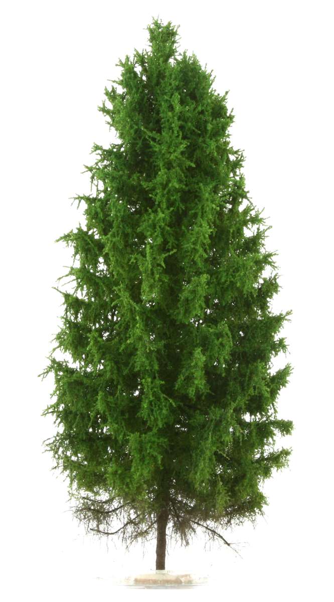 elriwa 110038 - MPN - Niedrige europäische Lärche, Höhe ca. 26cm