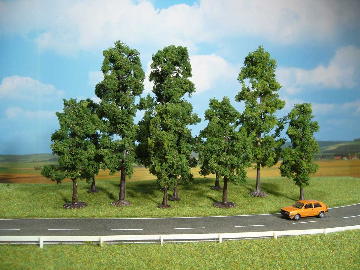 Heki 1323 - 10 Buchen 10-18 cm