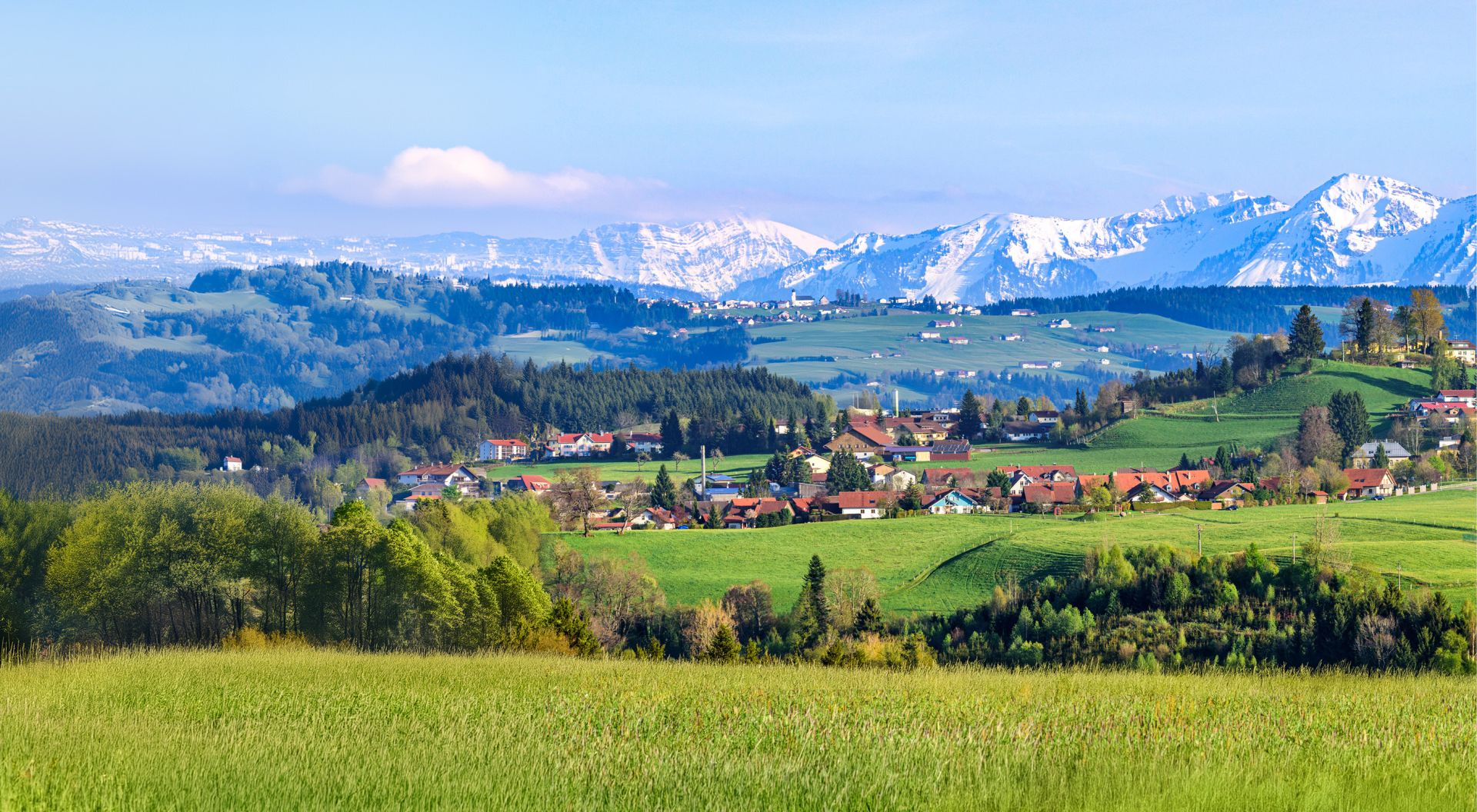 elriwa M5-H48-H - Hintergrundplatte aus PVC-Hartschaum 'Alpenvorland', Höhe 48 cm, Bild H