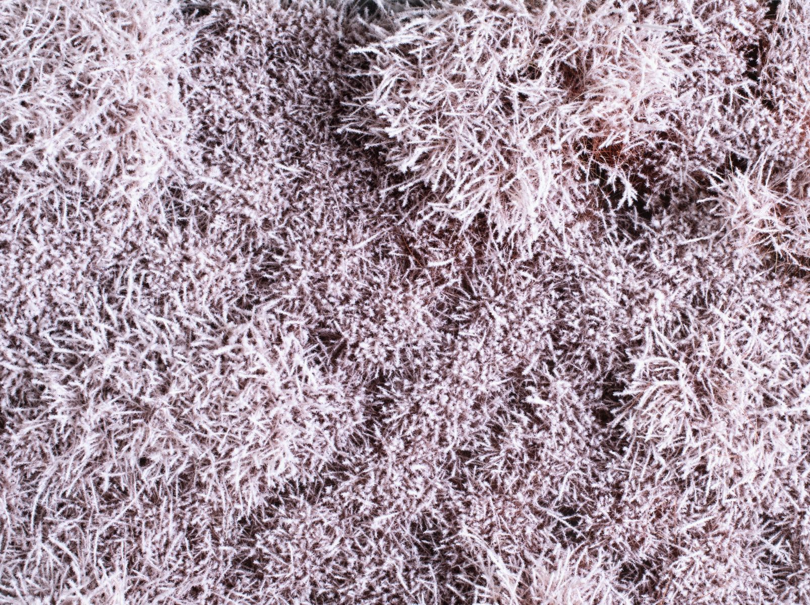 Auhagen 70903 - Büsche/Sträucher im Schnee 4-30 mm Auhagen 70903 - Büsche/Sträucher im Schnee 4-30 mm