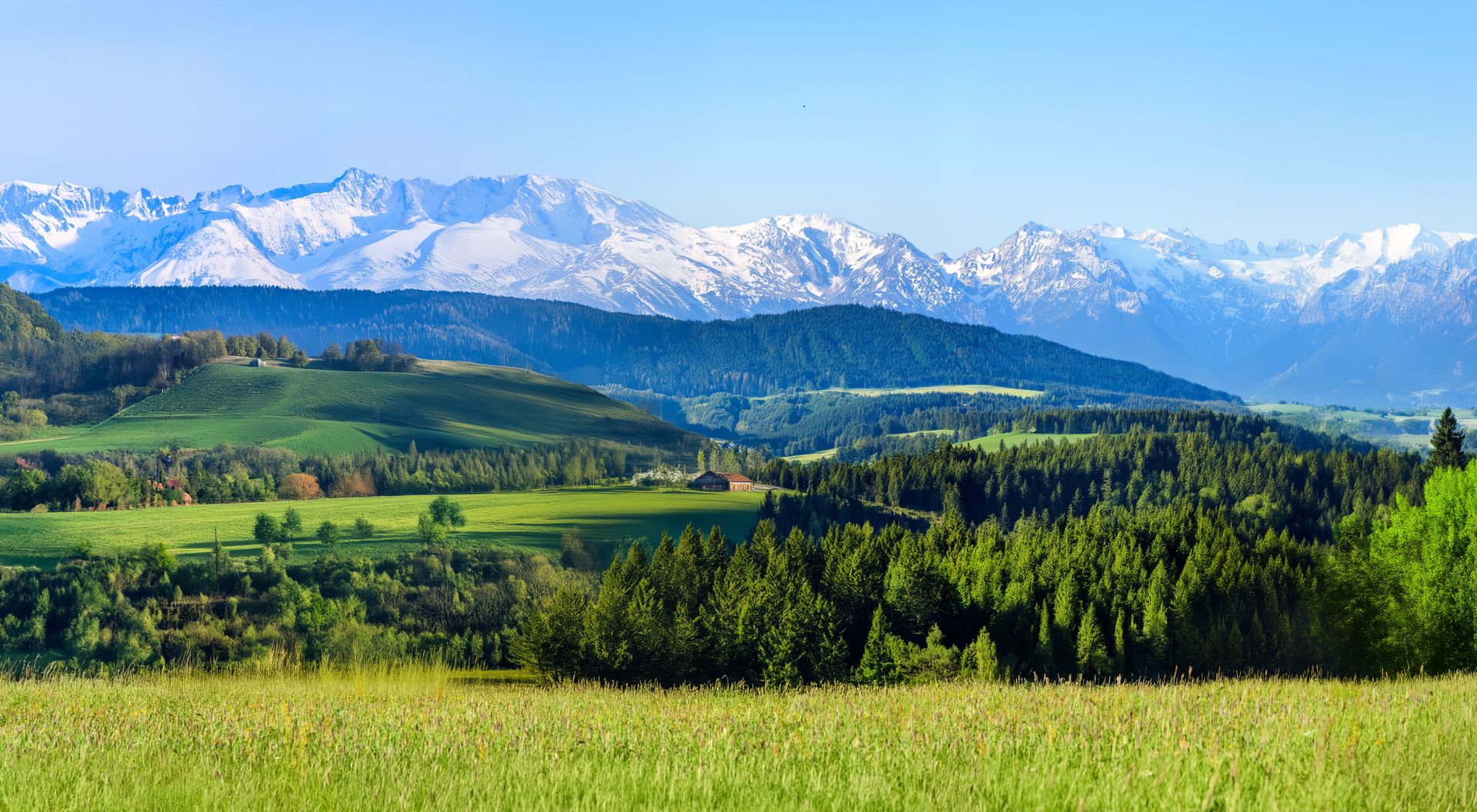 elriwa M5-H55-C - Hintergrundplatte aus PVC-Hartschaum 'Alpenvorland', Höhe 55 cm, Bild C