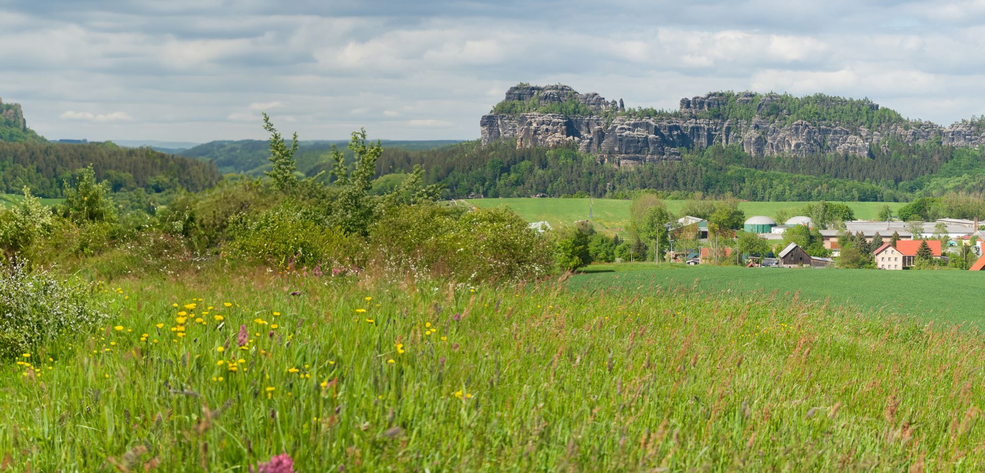 elriwa M1-H48-E - Hintergrund-Platte aus PVC-Hartschaum 'Sächsische Schweiz', Höhe 48 cm, Bild E