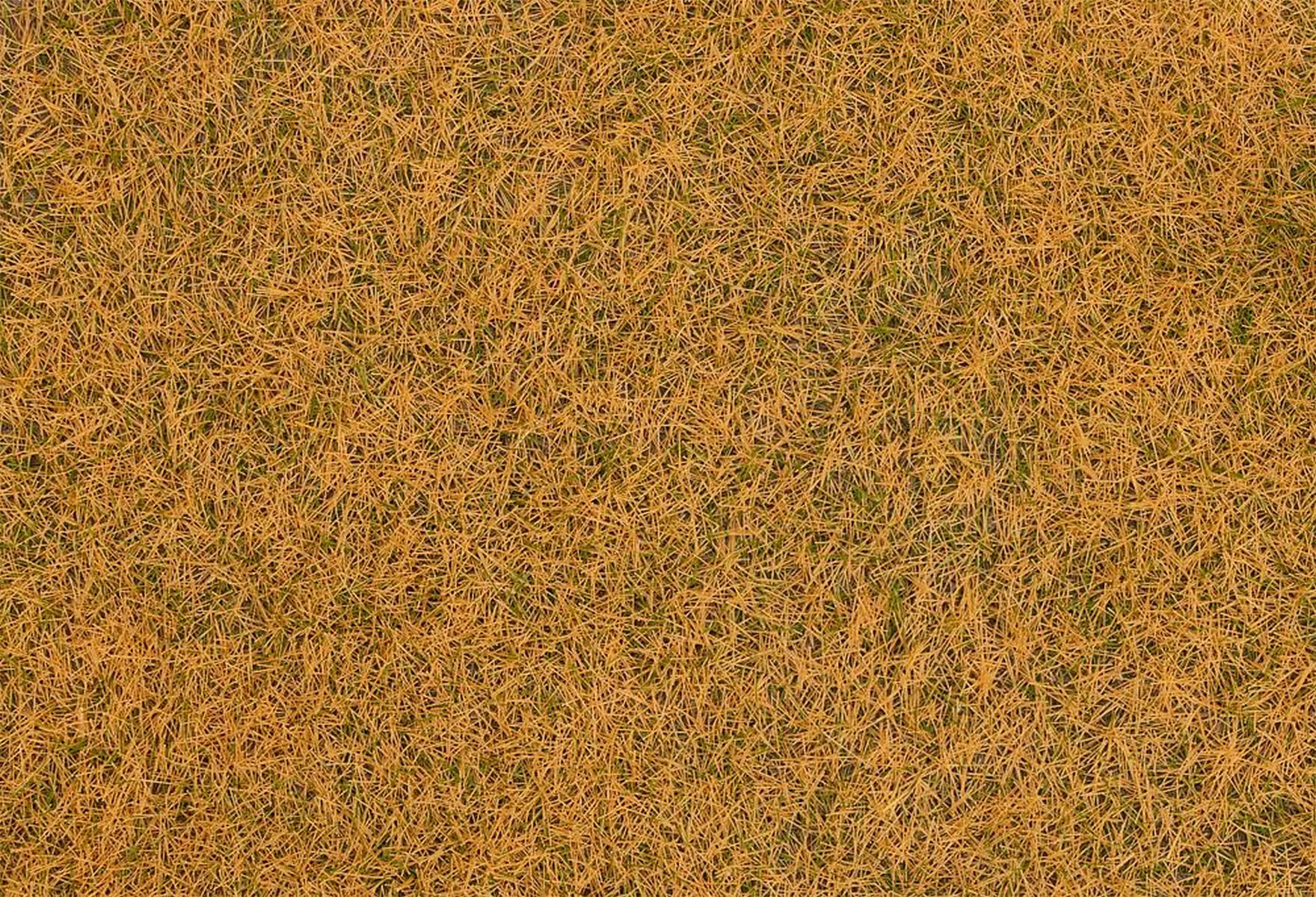 Faller 170223 - Grasfasern Höhe 4 mm, beige, 20 g
